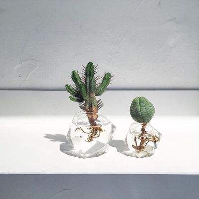 爱游戏·体育APP