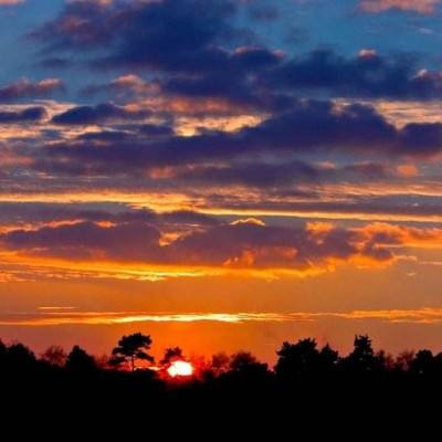 半岛官方下载入口